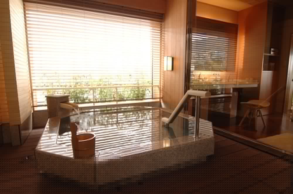 Hotel Wakamizu 33/67