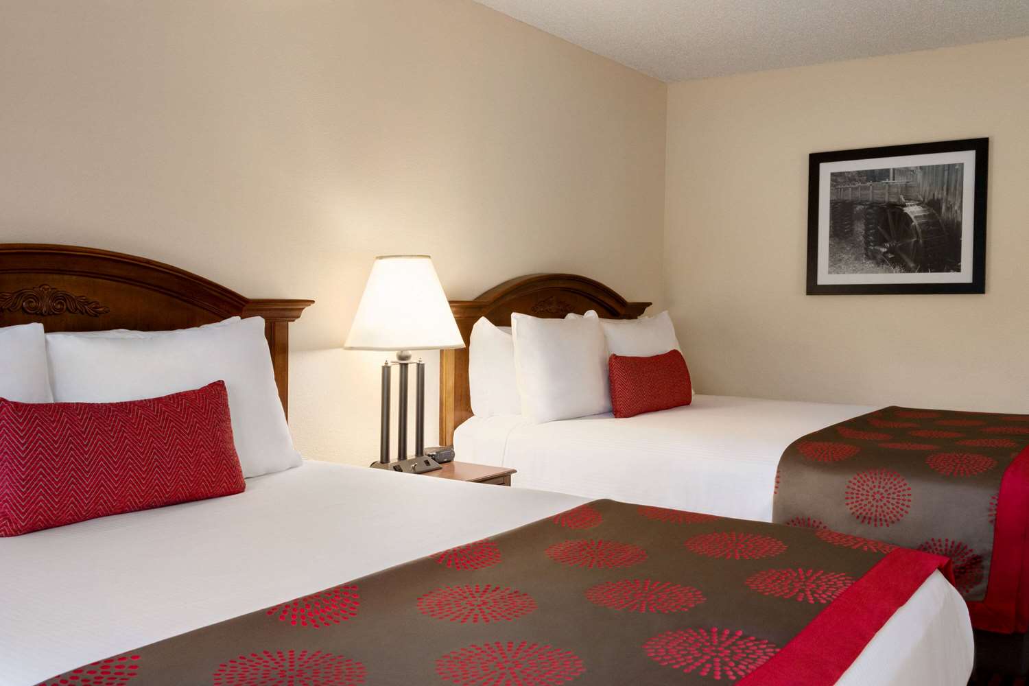 皮金福奇北华美达酒店(Ramada By Wyndham Pigeon Forge North) 图片3