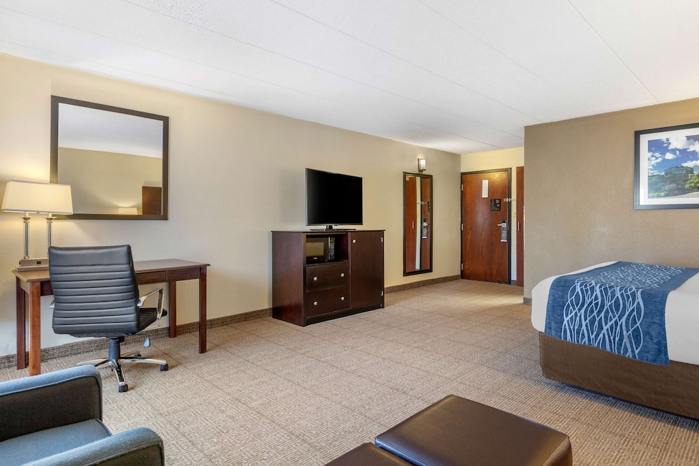 Comfort Inn Grand Rapids Airport 16/35