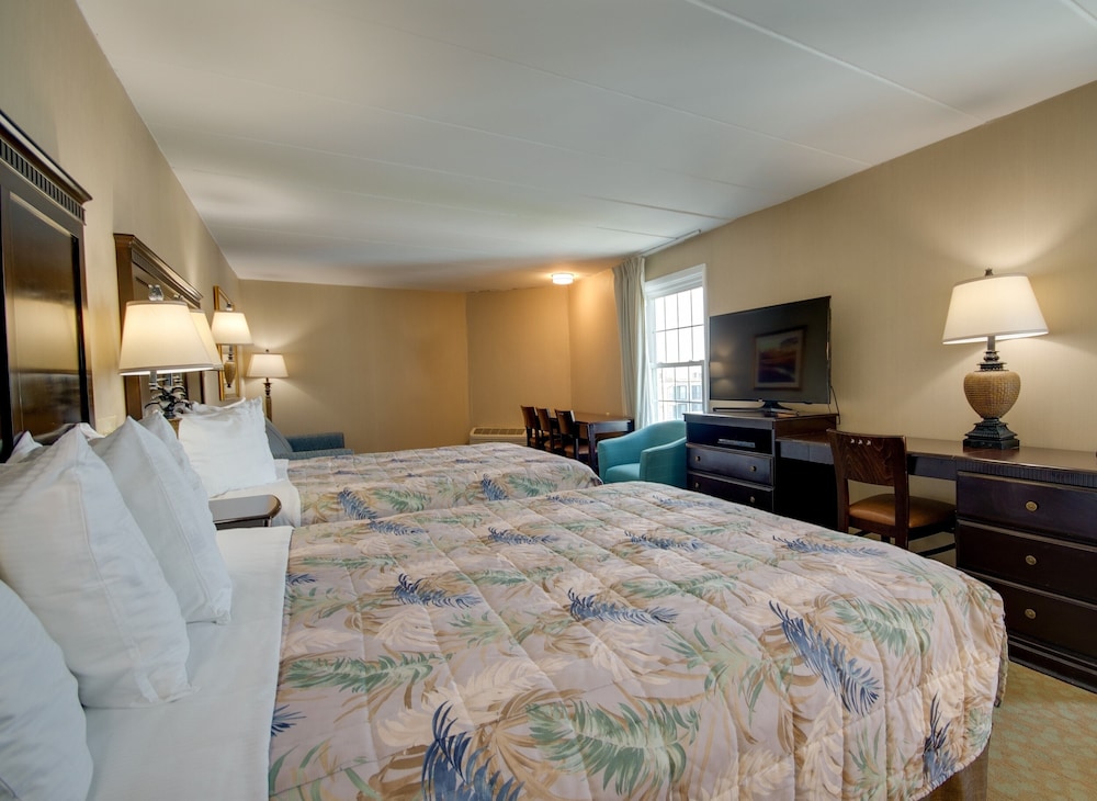 Efficiency, 2 Queen Beds, No Balcony, Sofa, Kitchenette, Bay Side