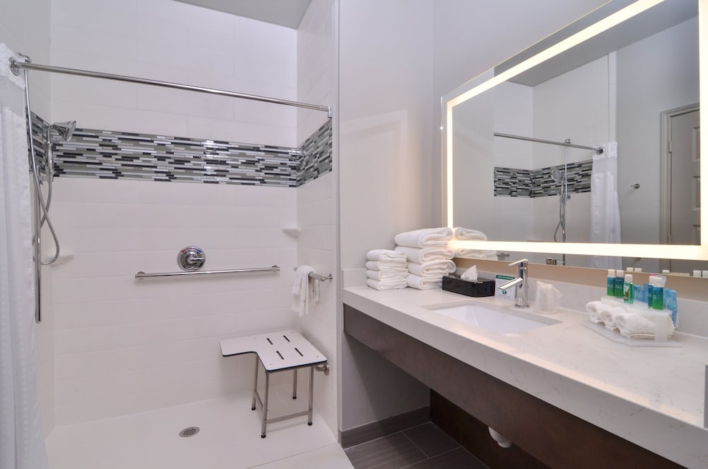 Holiday Inn Express Suites Houston E Pasadena 17/62