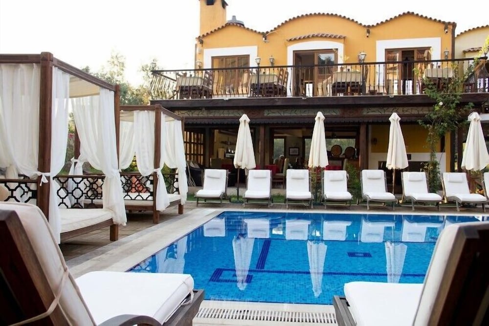 The Olive Tree Studios - Adults Only 19/50