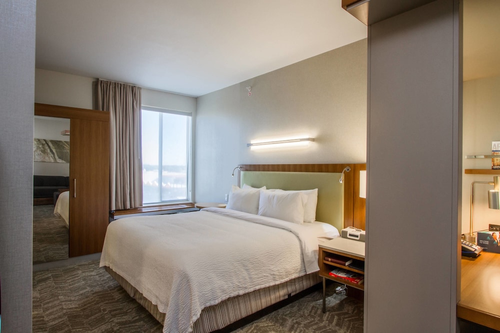 SpringHill Suites by Marriott San Angelo 13/50