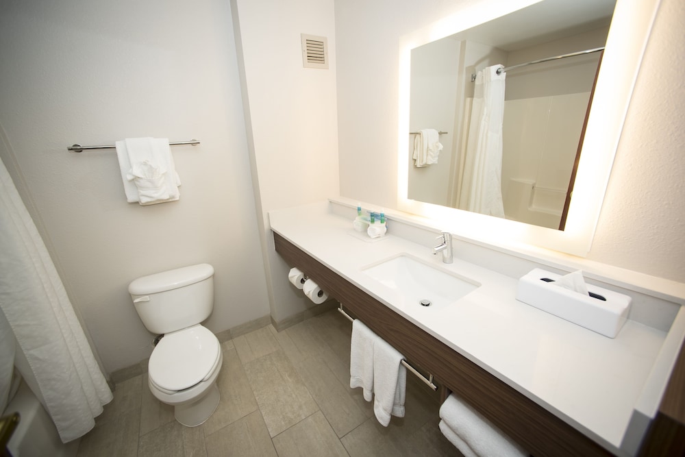 Holiday Inn Express Hotel And Suites Lexington Downtown University 19/47