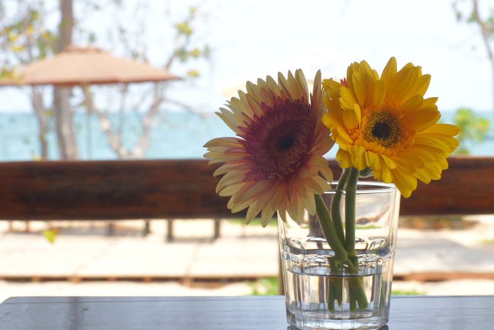 Gold Sand Beach Bungalow 写真2