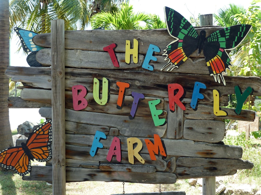 Bubali Bliss Studios 35/50