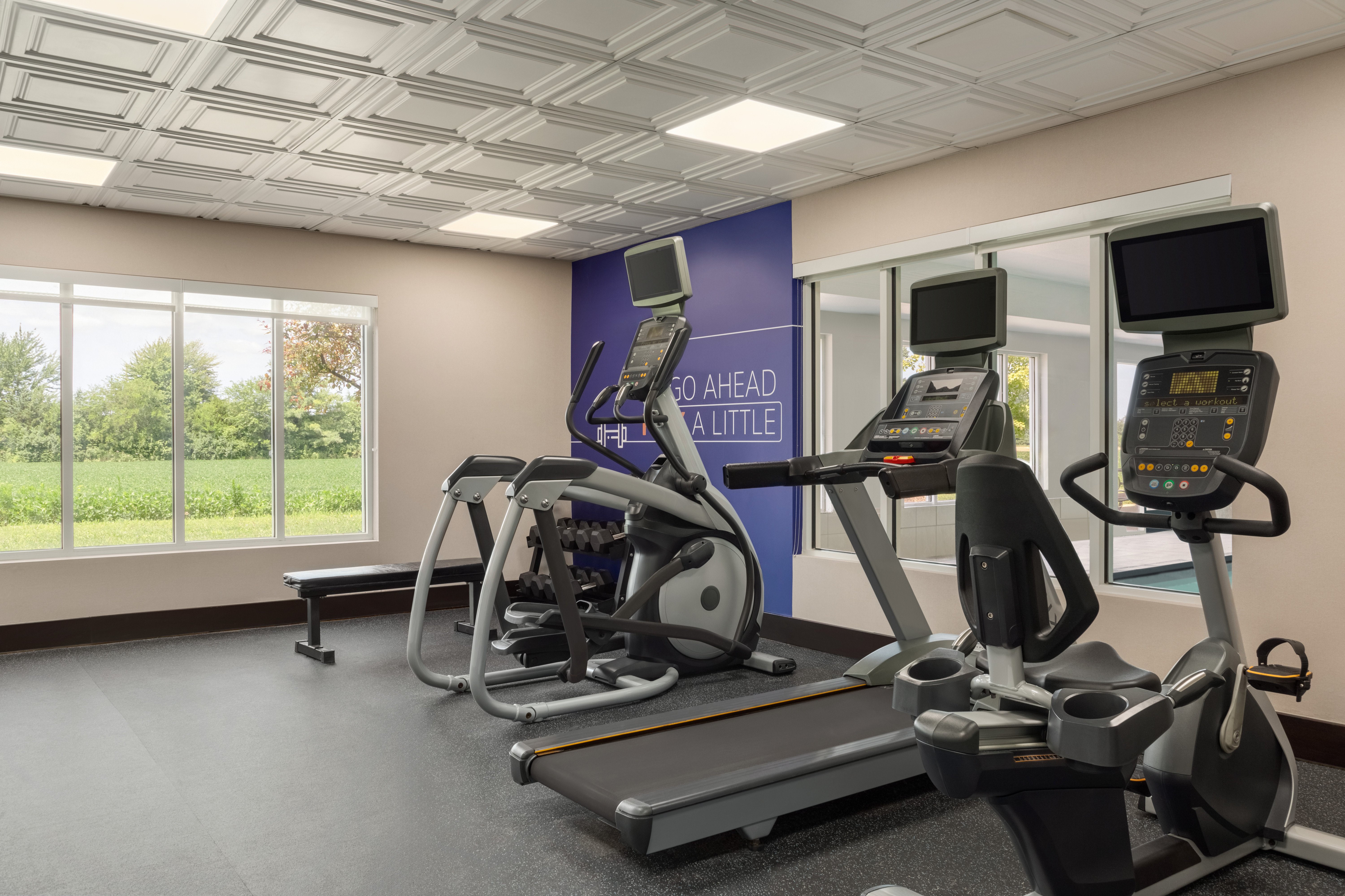 Holiday Inn Express Hotel & Suites North Fremont 36/58