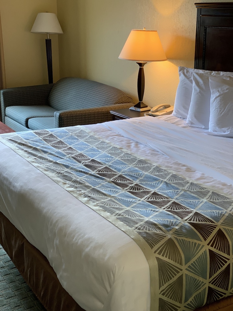 Ambassador Inn and Suites Tuscaloosa 9/57