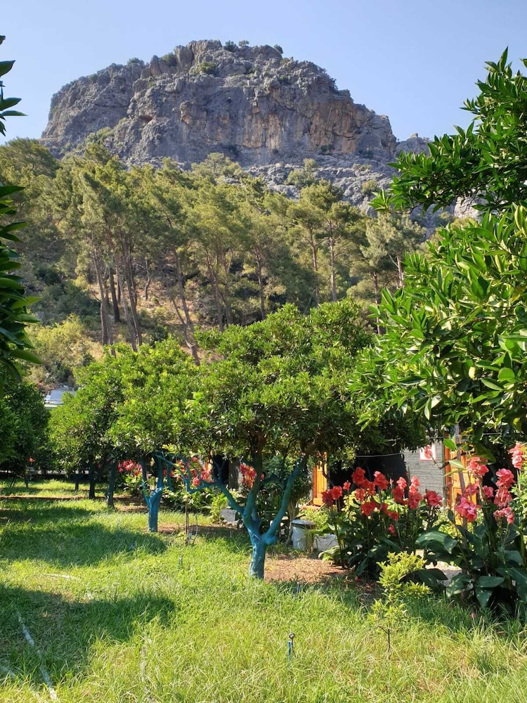 Olympos Tatilya Pansiyon 36/41