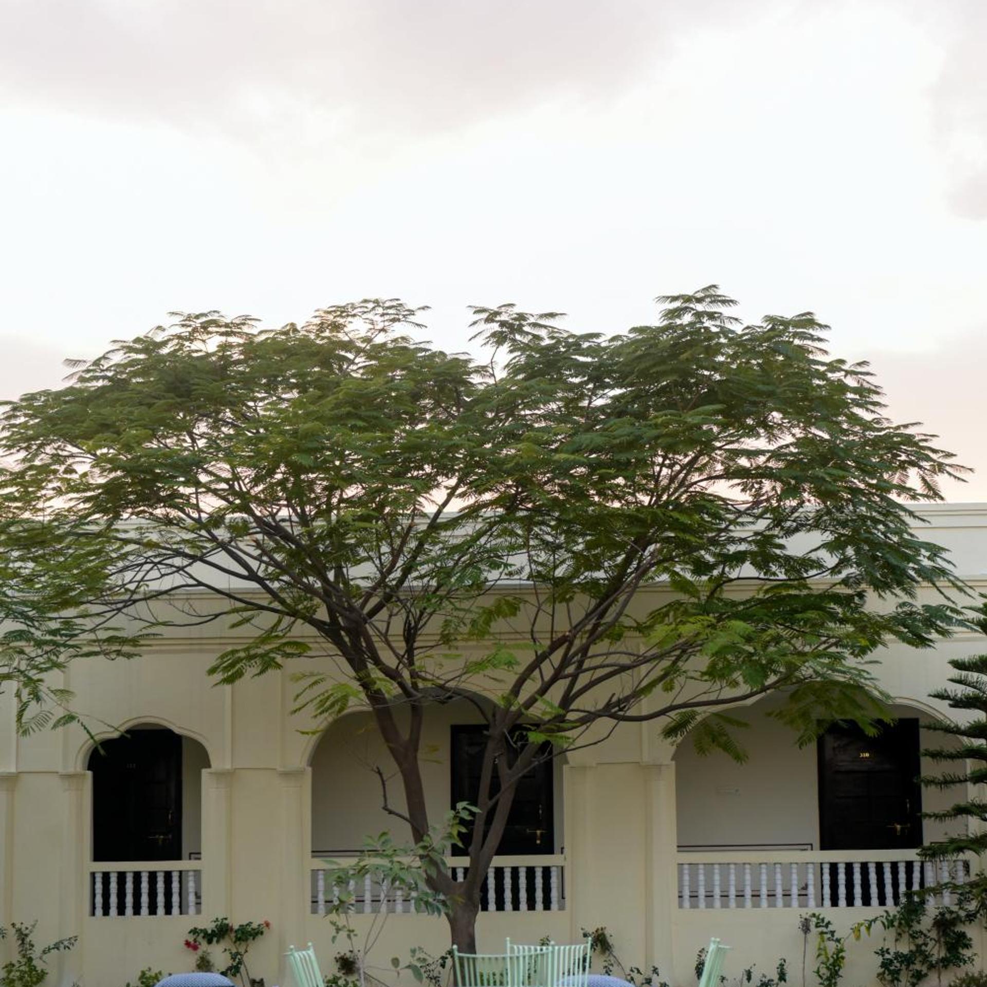 Gulaab Niwaas Palace 4/50