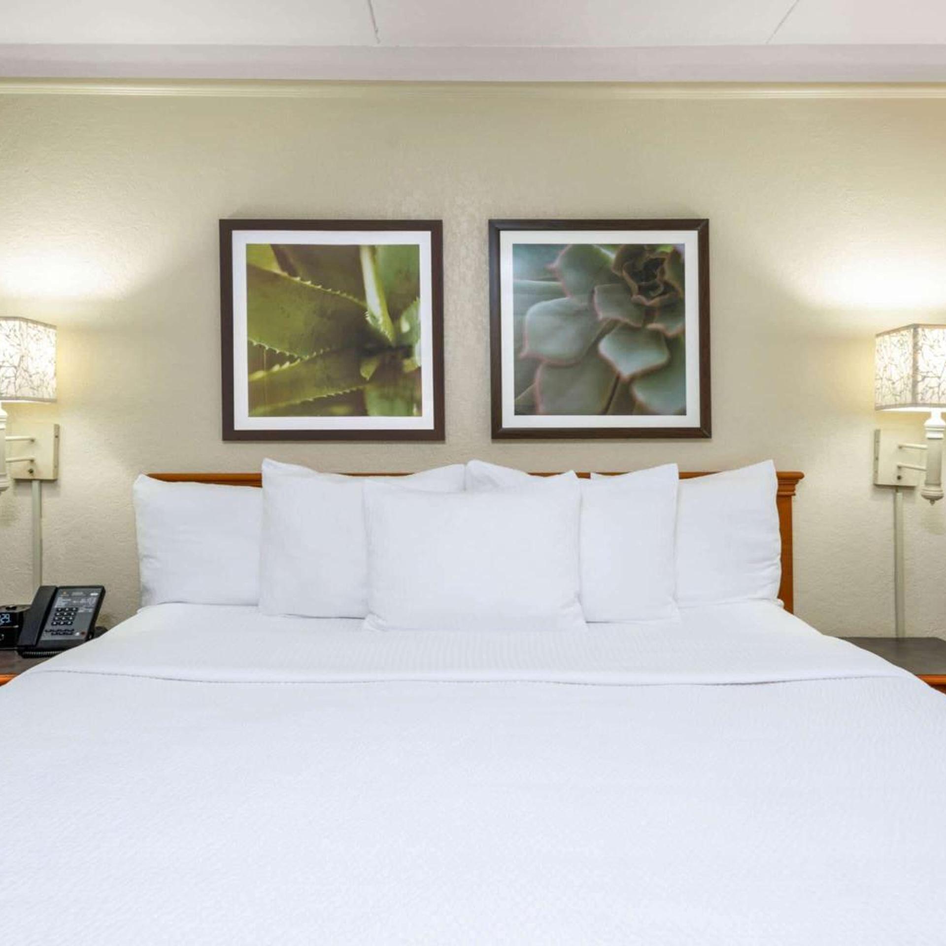غرفة تنفيذية بسرير كينج، La Quinta Inn by Wyndham Deerfield Beach I-95 at Hillsboro E 5/6