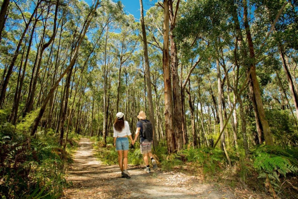 Big4 Yarra Valley Park Lane Holiday Park 72/74