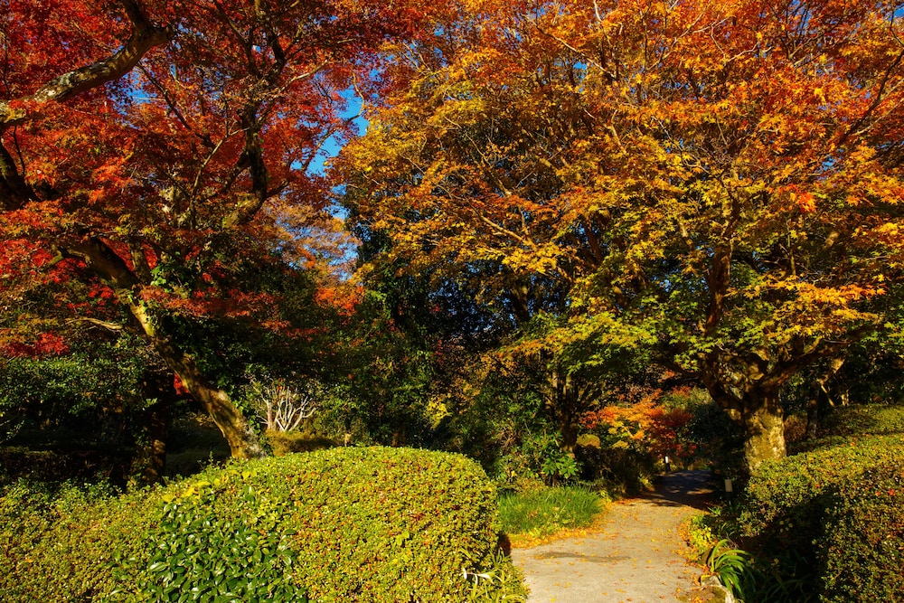 Yufuin Baien Garden Resort (ex Ryokan Baien) 40/47