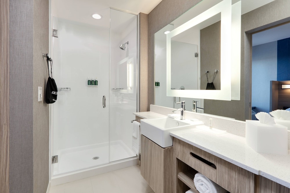SpringHill Suites by Marriott Dallas Mansfield 10/53