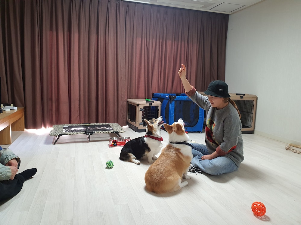 Hi Jeju Hotel 32/50