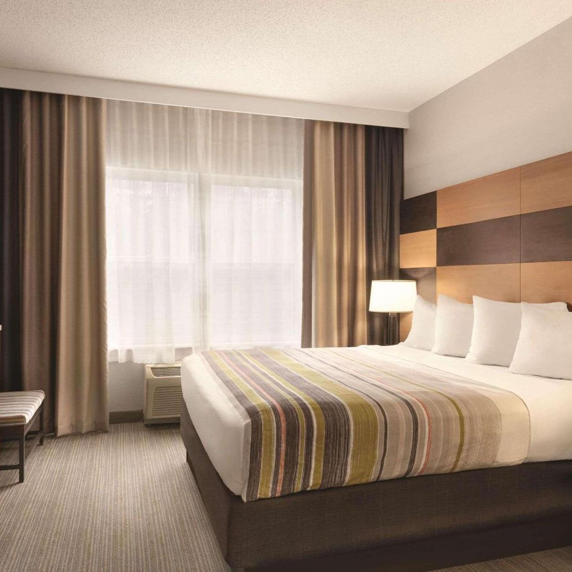 1 Bedroom, Suite, Sofa, Accessible