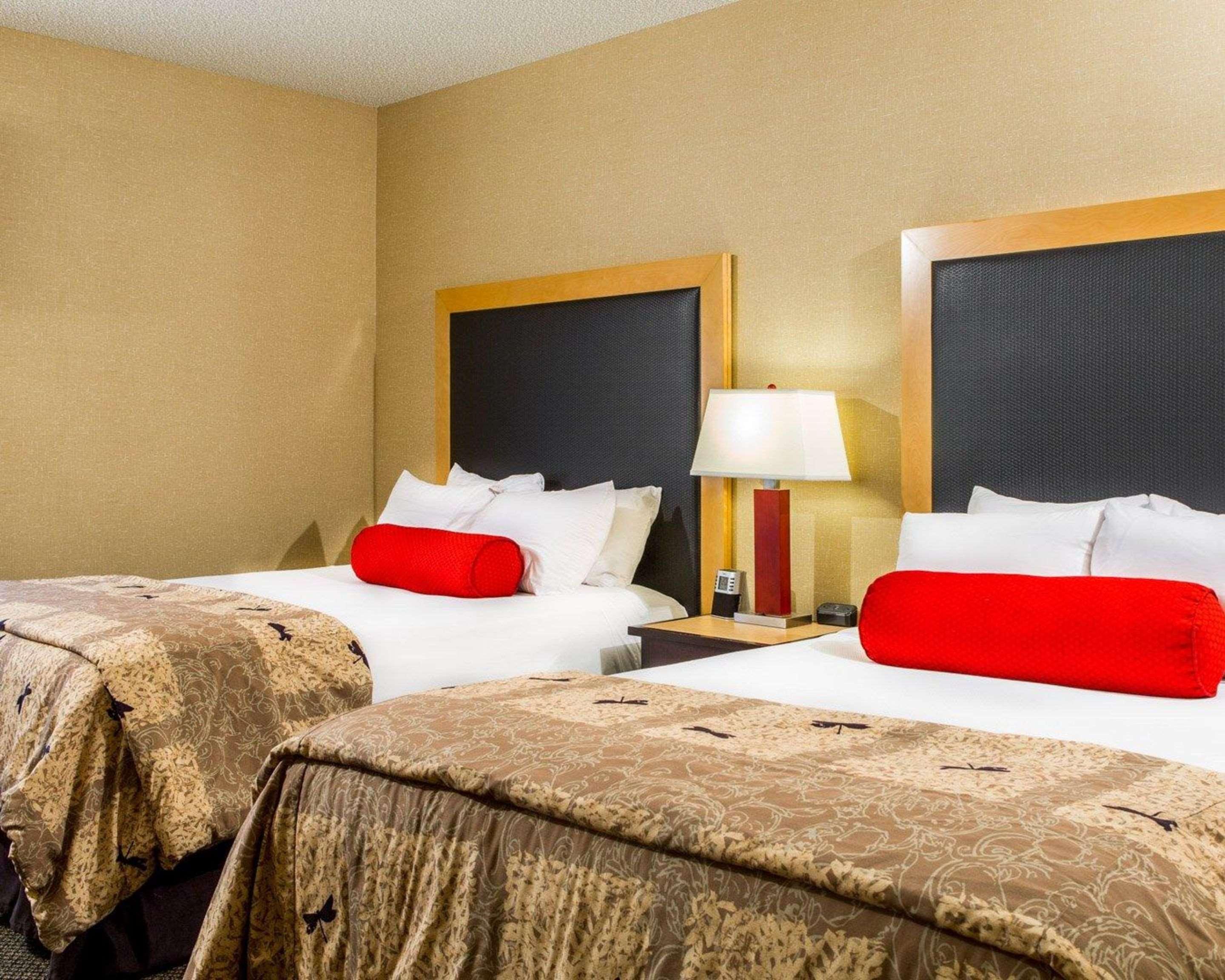 SUITE, 2 QUEEN BEDS