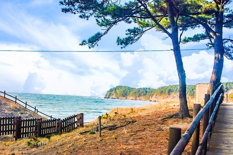 Taean Gooreumpo Beach Caravan 17/20