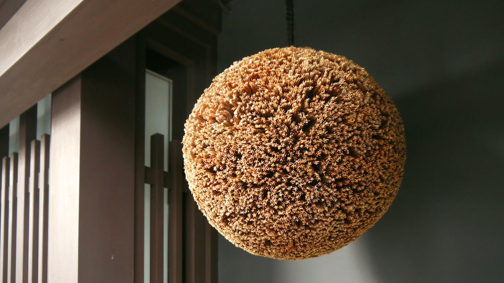 Machiya Kaemon Kyoto-Sta. 20/60