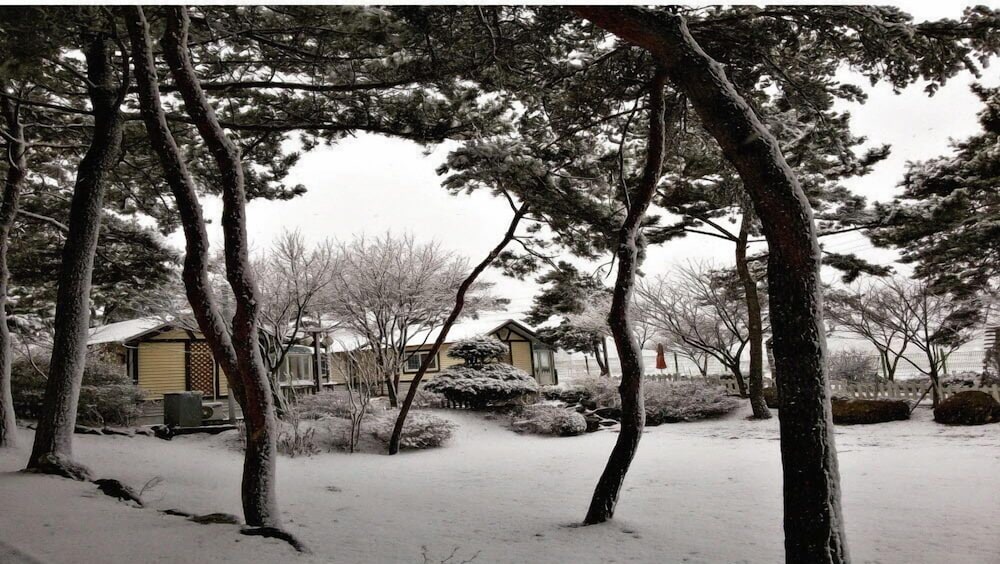 Yeongheung-Do Mirim Pension 40/50
