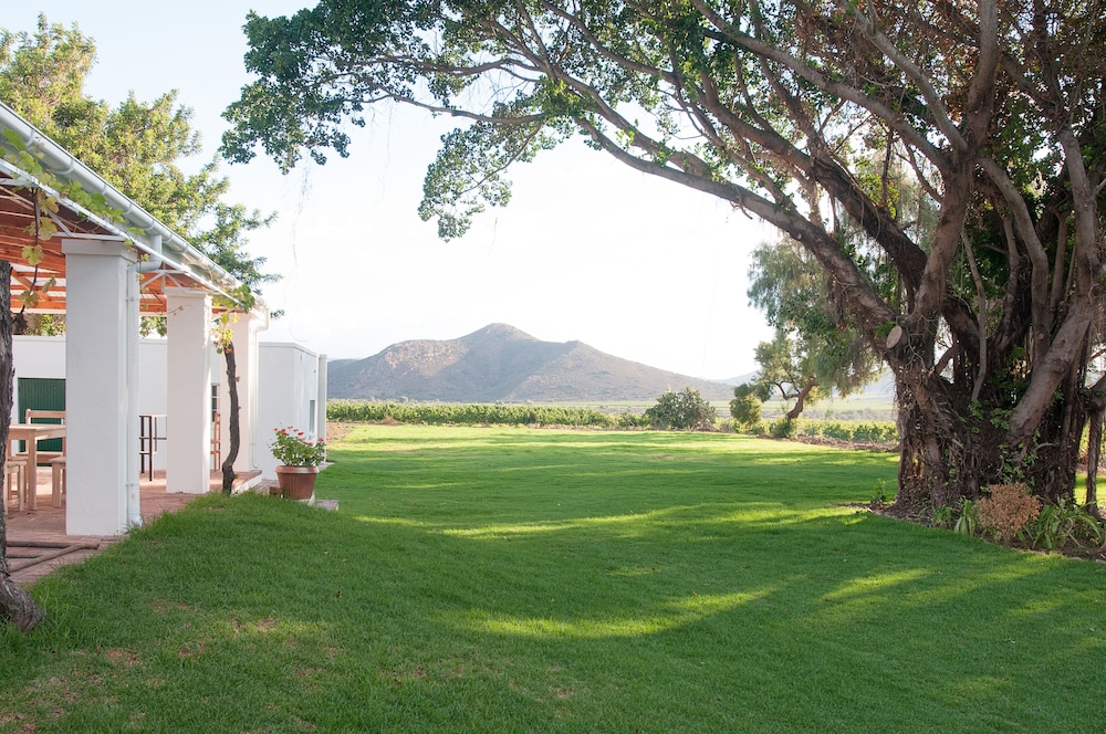 Green Olive Guesthouse 39/50