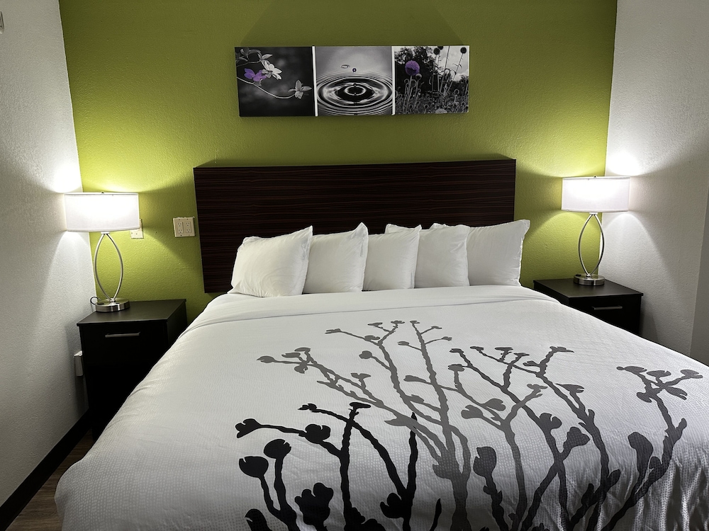 ROOM, KING BED, ACCESSIBLE