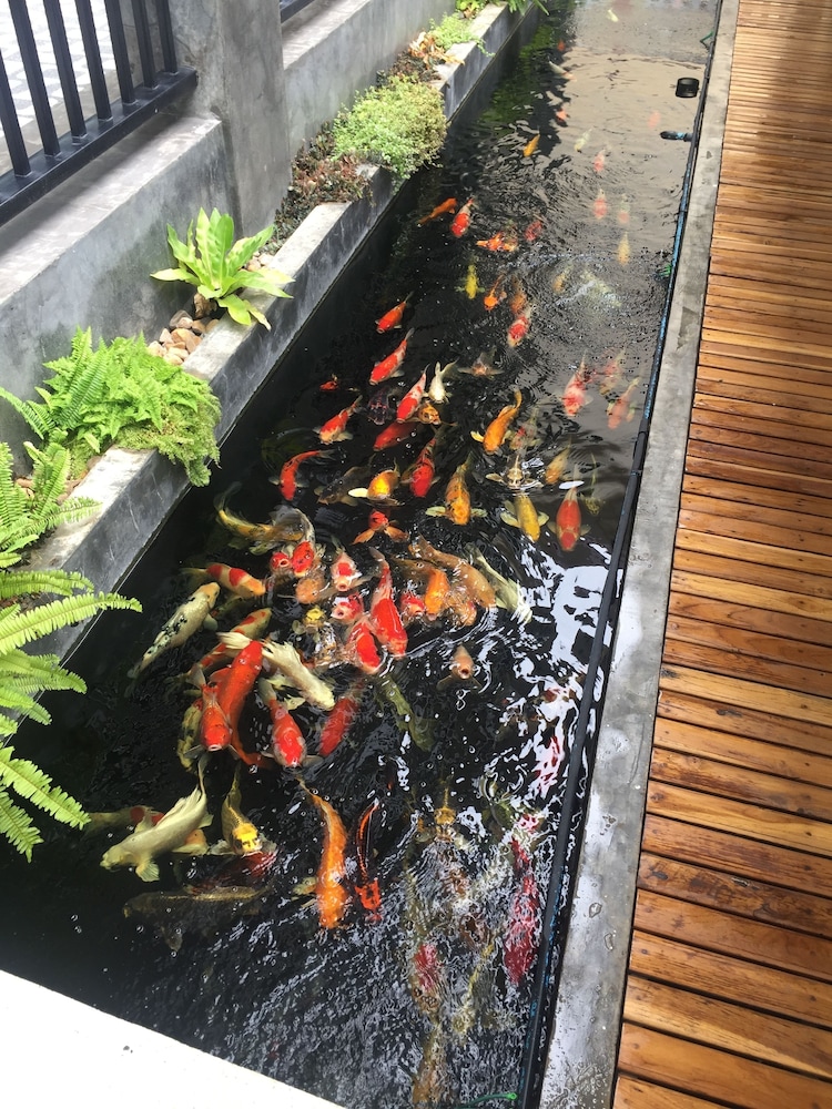 Phetcharat Grand Hotel Maesot 43/50