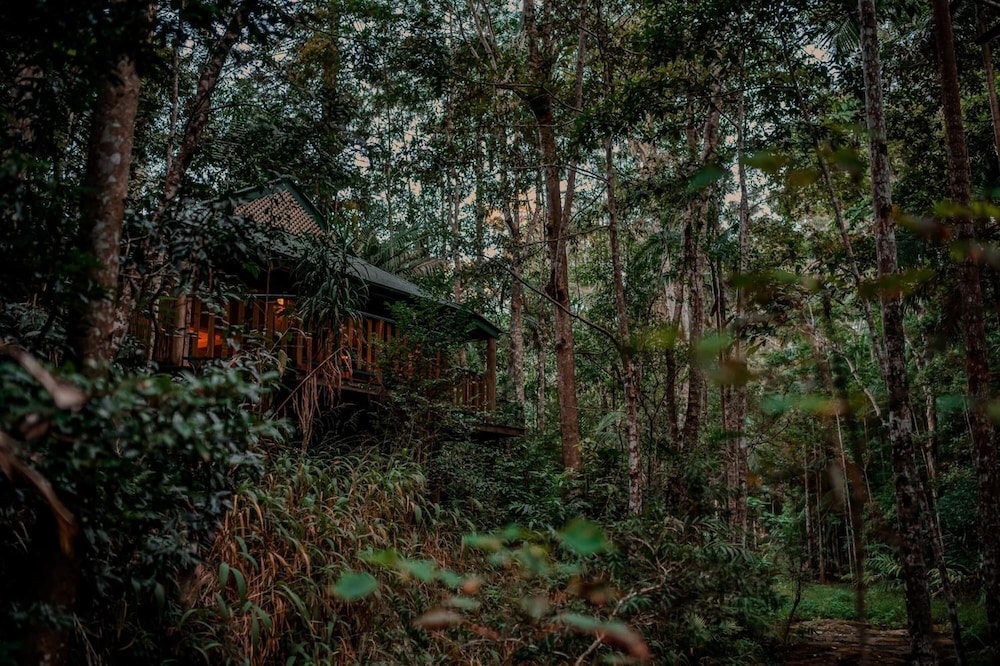 NARROWS ESCAPE RAINFOREST RETREAT 42/50
