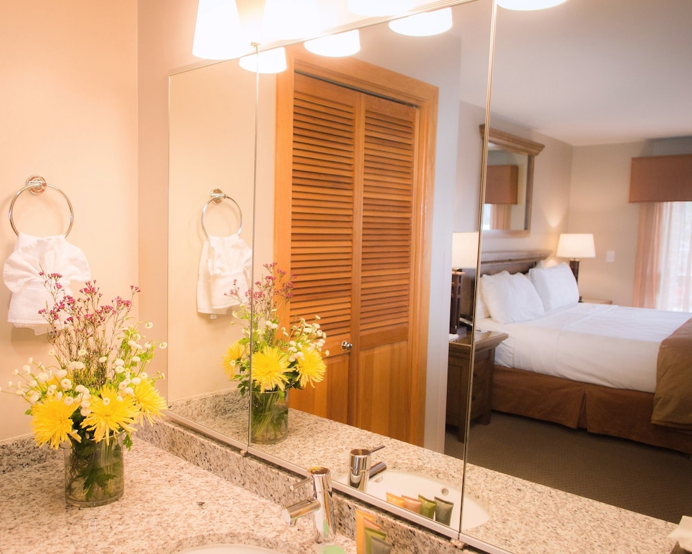 Raintree Apos S Park Plaza Park City 18/50
