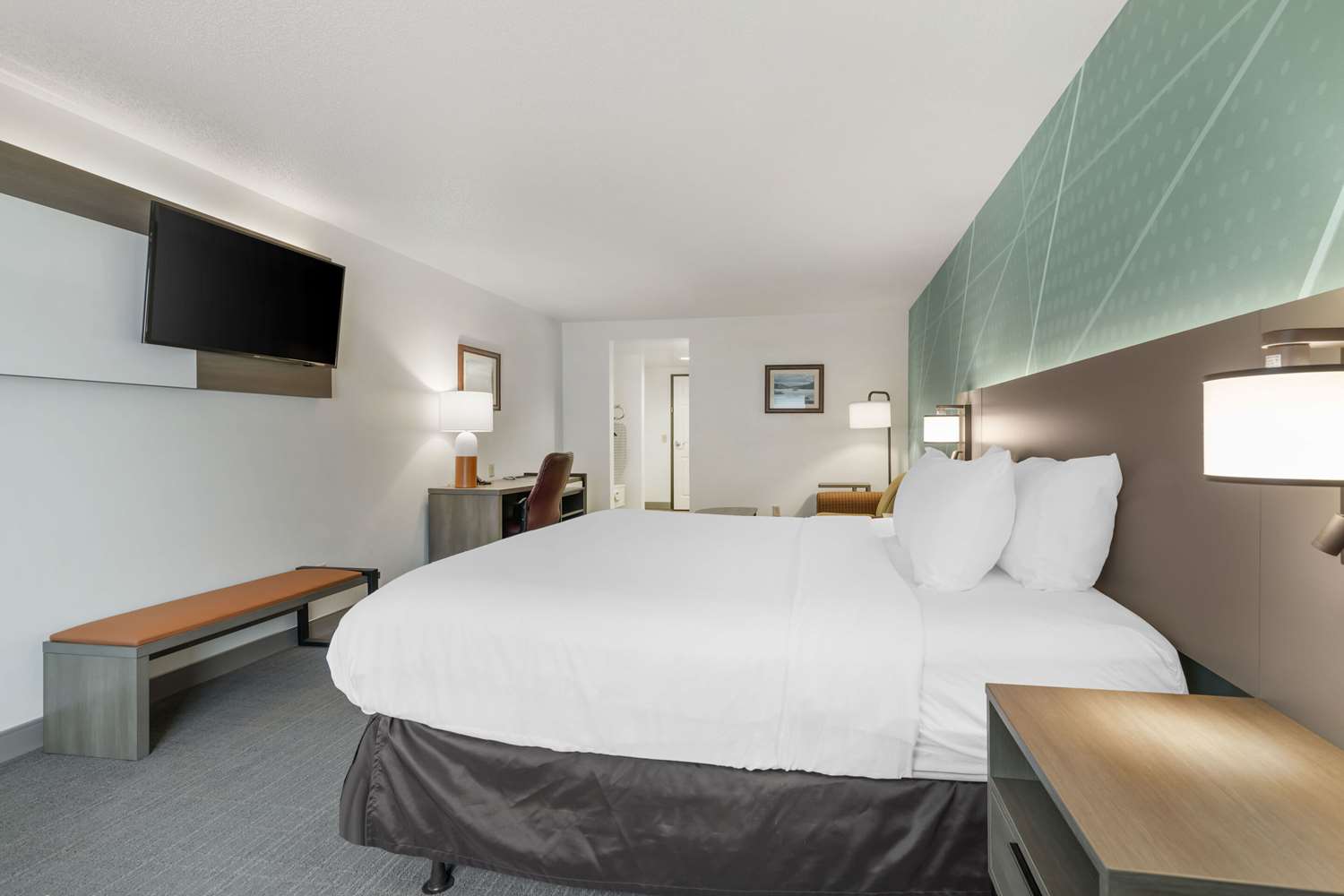 1 King Bed, Nonsmoking, Accessible