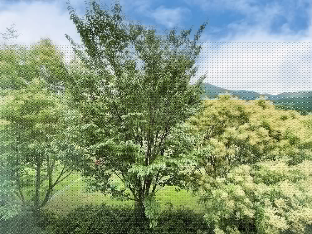 Route Inn Grantia Wakamiya 59/61