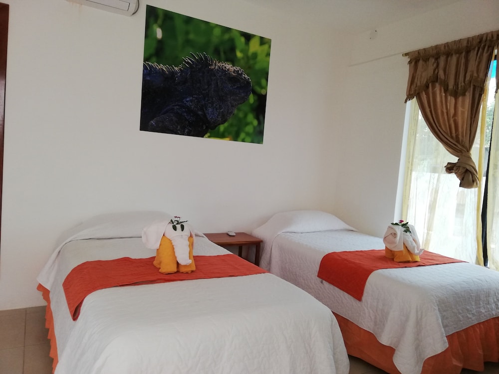 Gran Hostal Tintorera 16/34