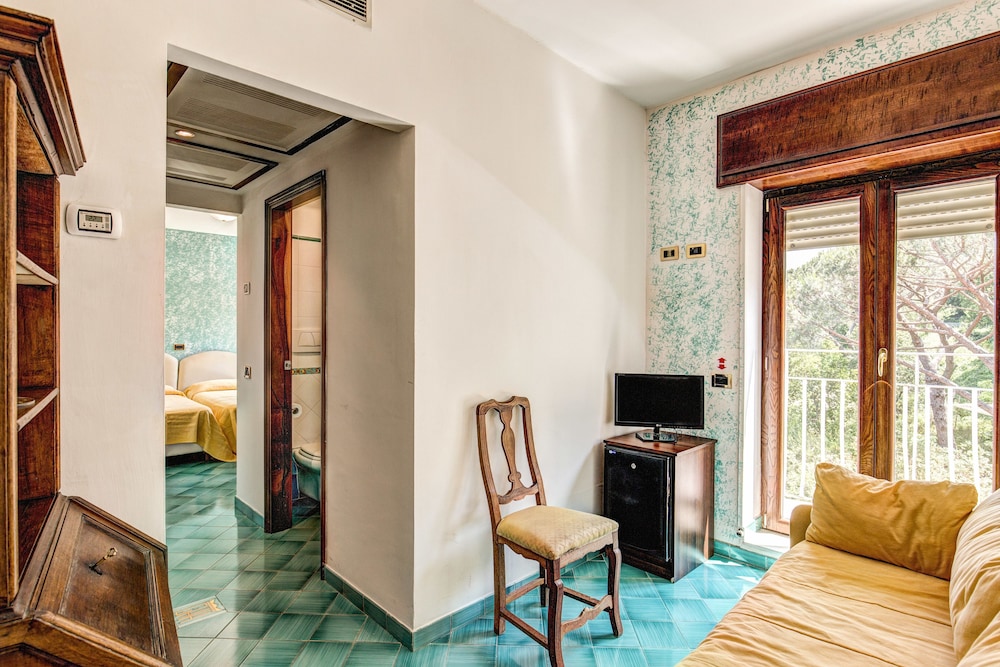 GRAND HOTEL HERMITAGE 26/50