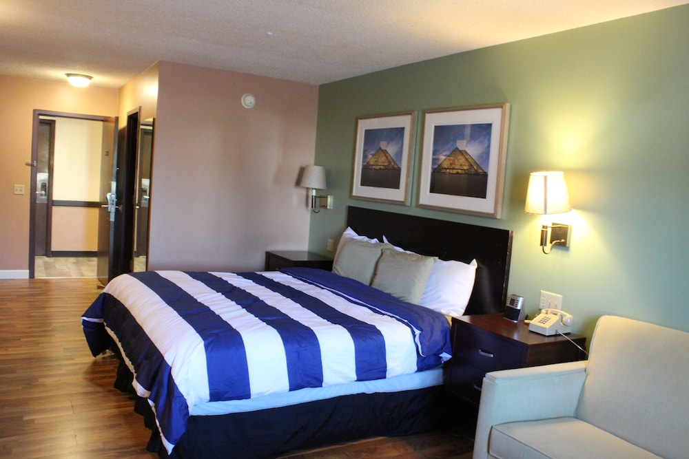 Premium, King Bed