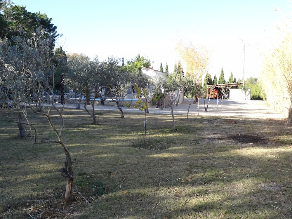 Locations Des Alpilles 35/50