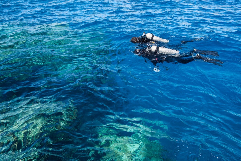 Nukubati Private Island Great Sea Reef - All Inclusive 54/62