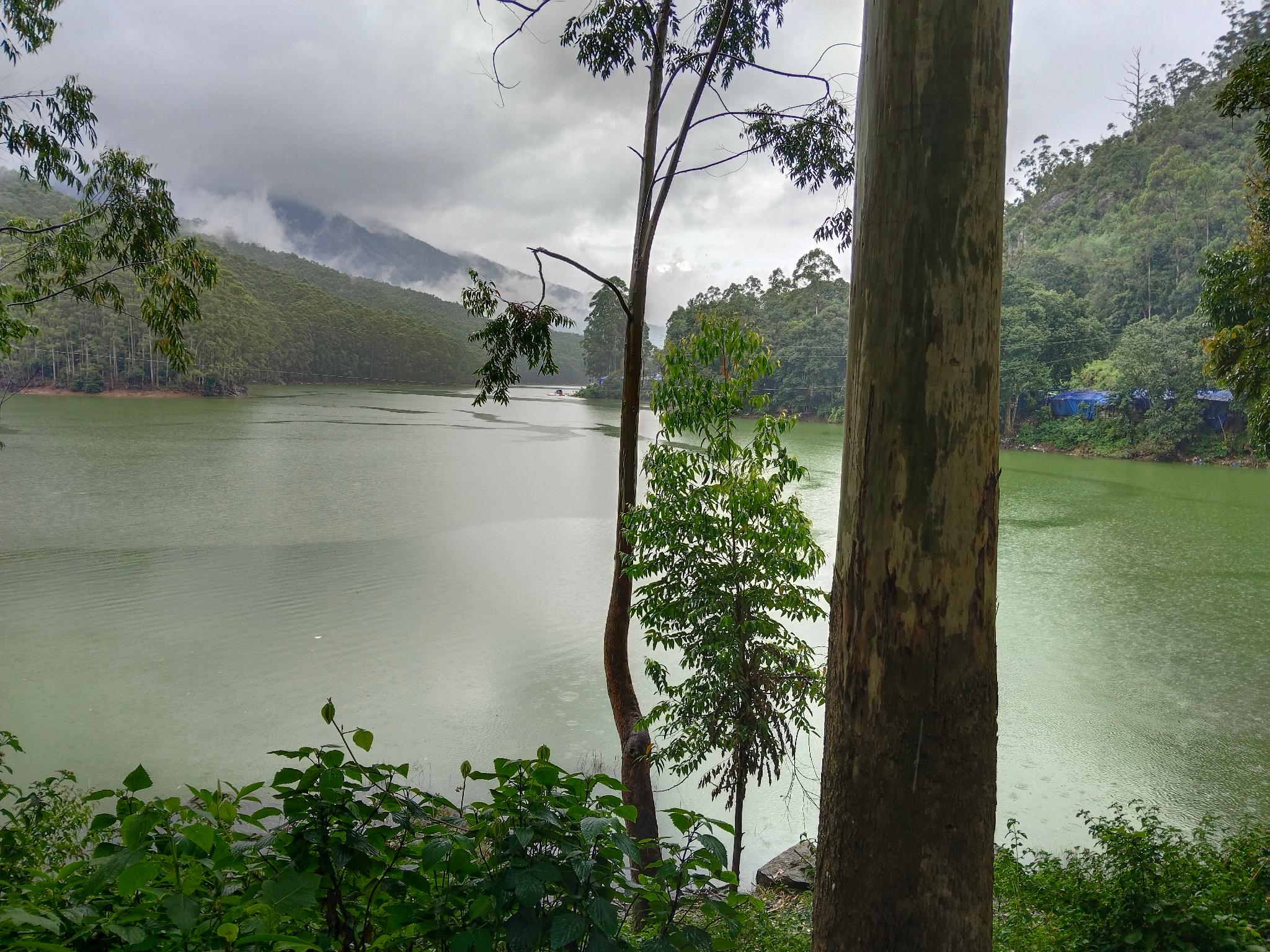 The Wind Munnar 14/17