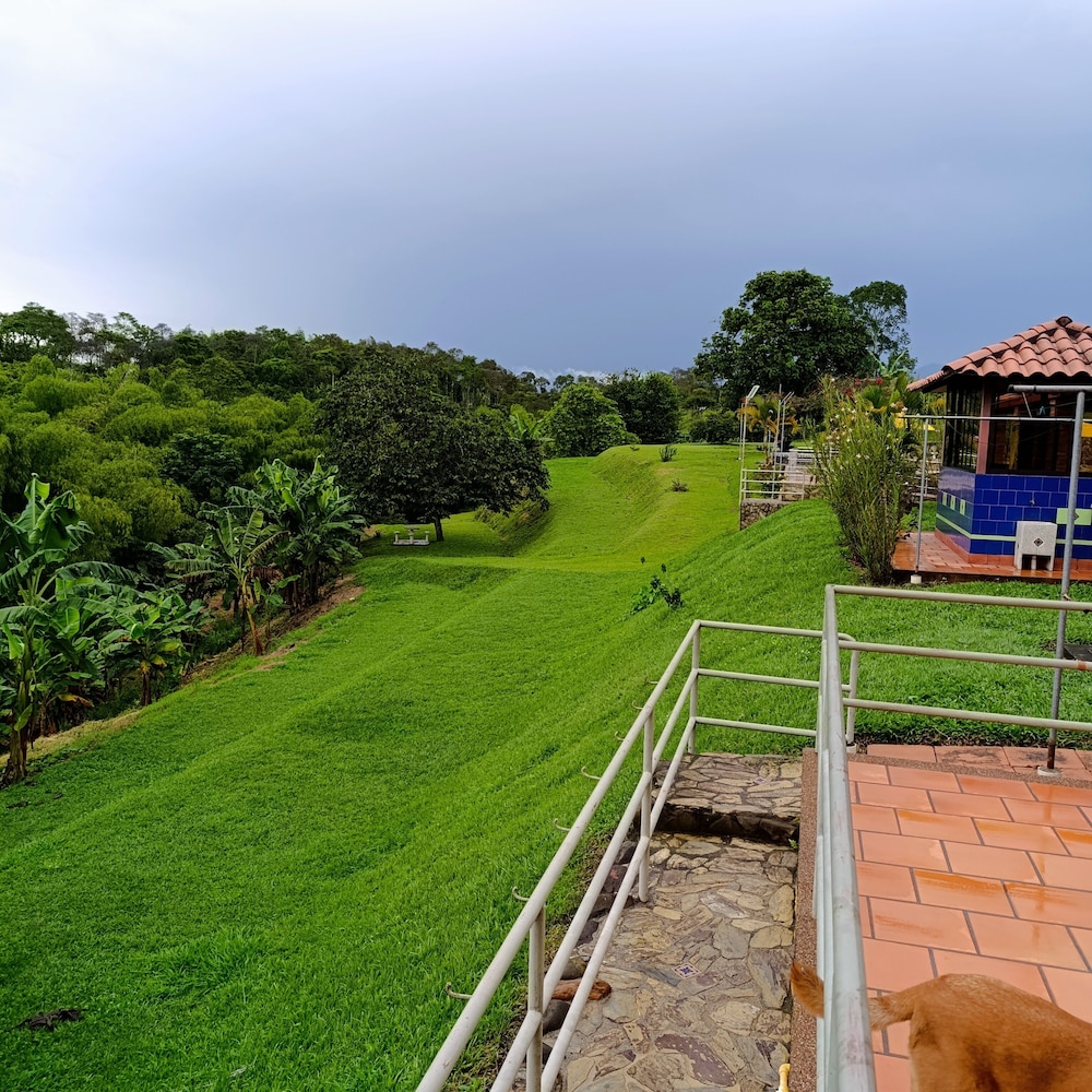 Hotel Bora Bora Campestre Los mangos 16/45