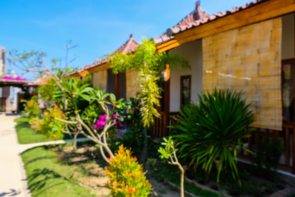 Bungalow And Restaurant Anda 22/30