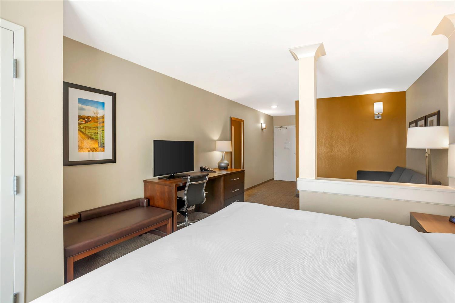 Suite, King Bed