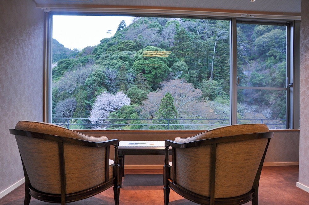 Arima Onsen Gekkoen Korokan 6/50