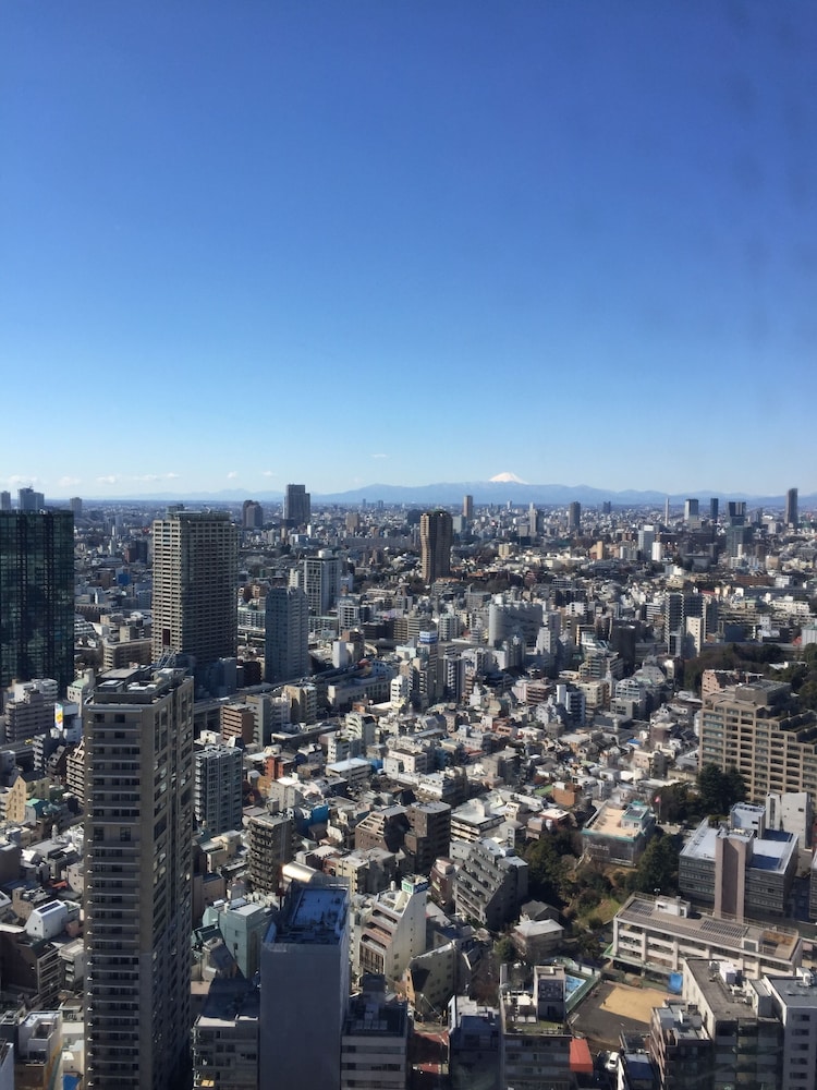 Henn na Hotel Tokyo Hamamatsucho 39/47