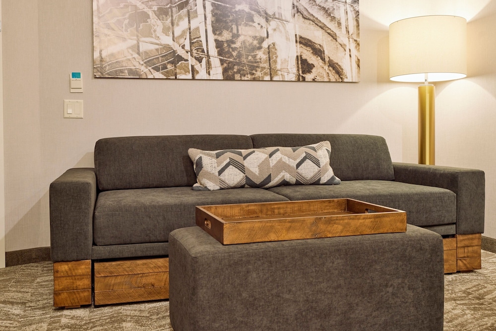 SpringHill Suites Medford Airport 17/28