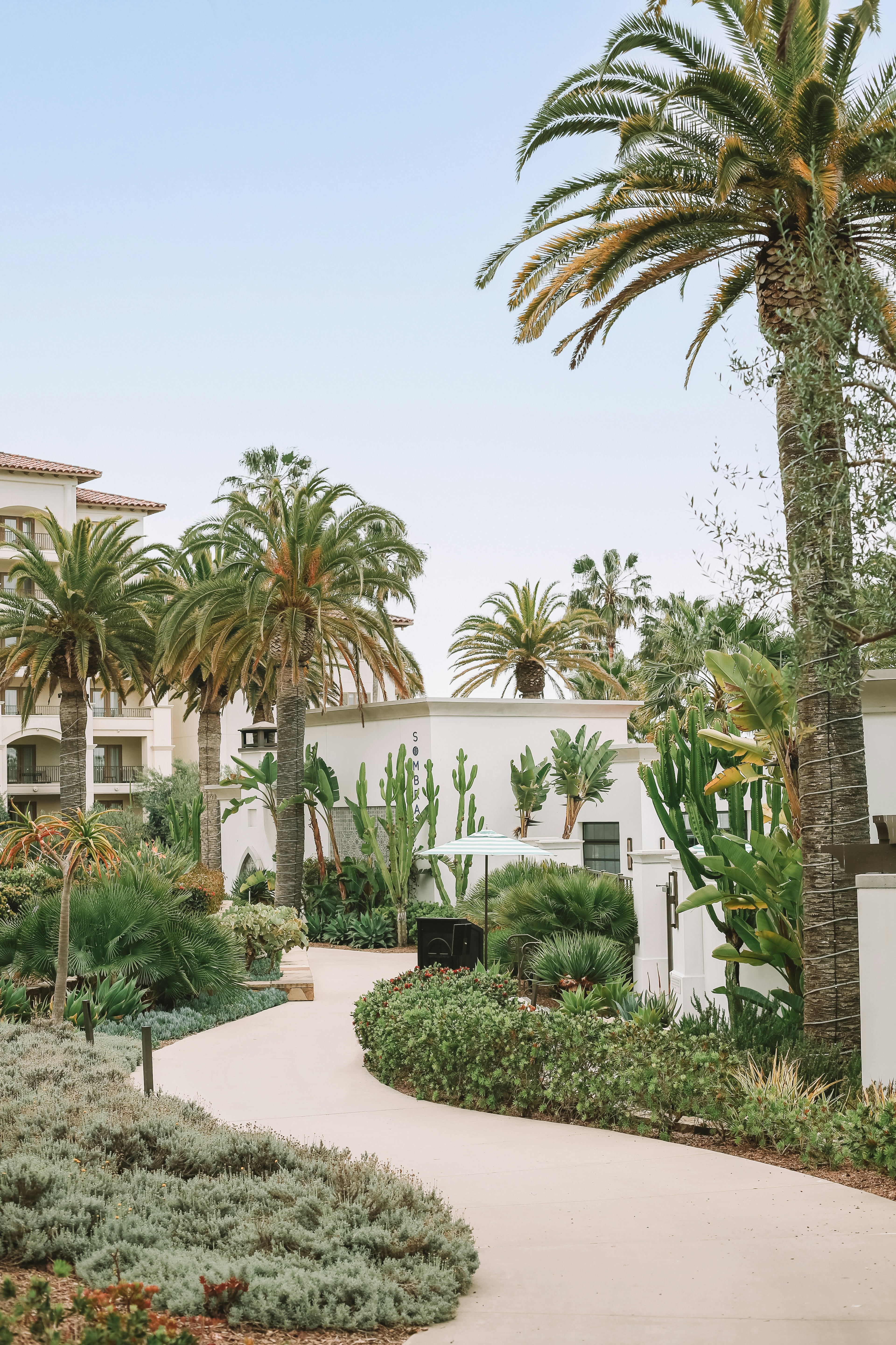 Waldorf Astoria Monarch Beach 49/60