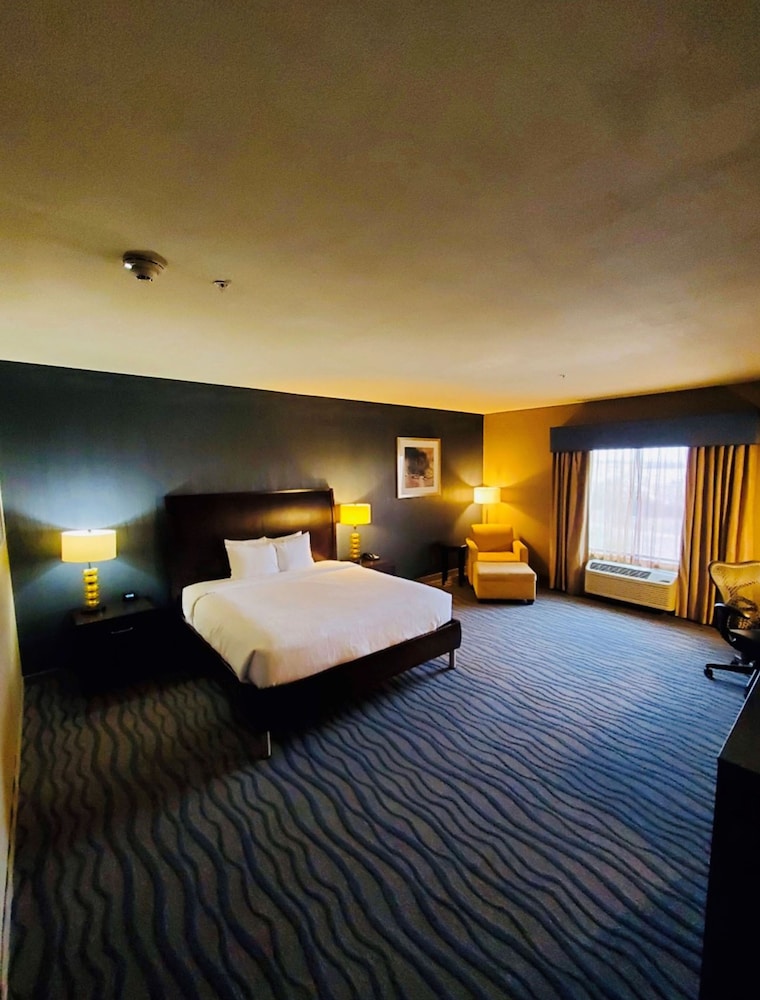 Hilton Garden Inn Fort Worth Alliance Airport 22/59