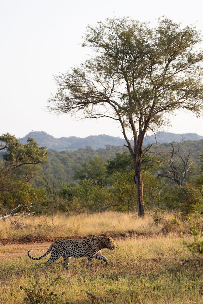 Milima Big 5 Safari Lodge 46/50