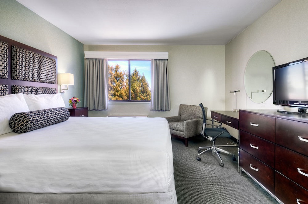 Maple Tree Inn 15/40