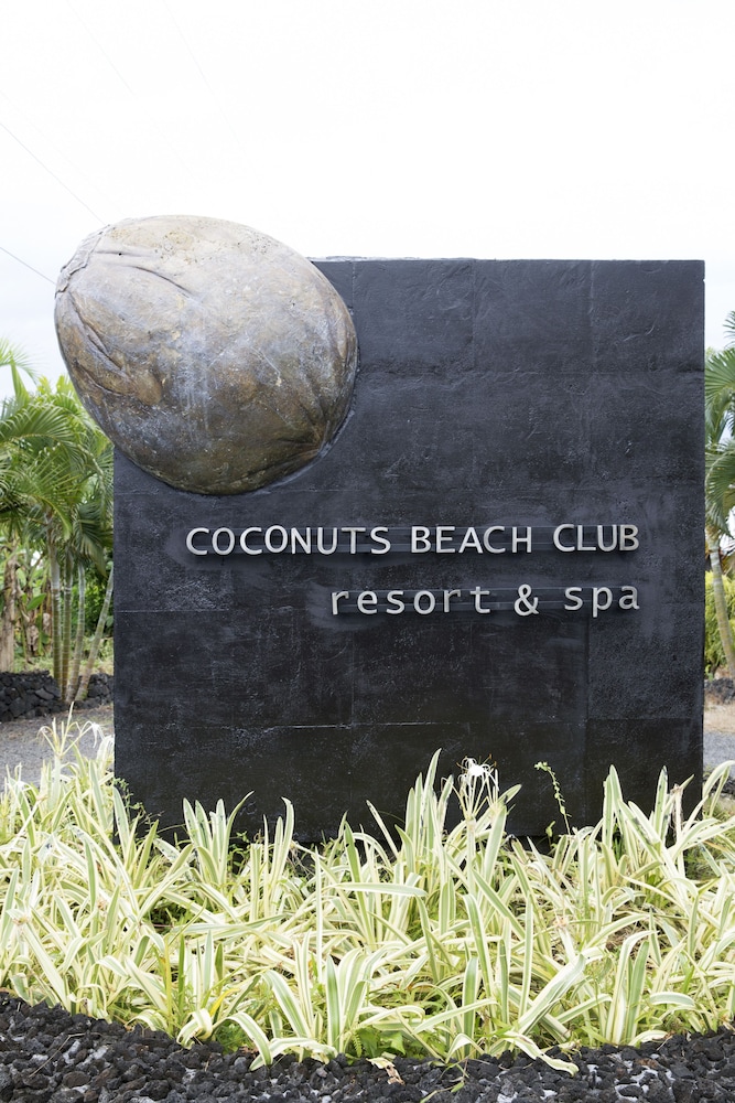 Coconuts Beach Club Resort and Spa 7/60
