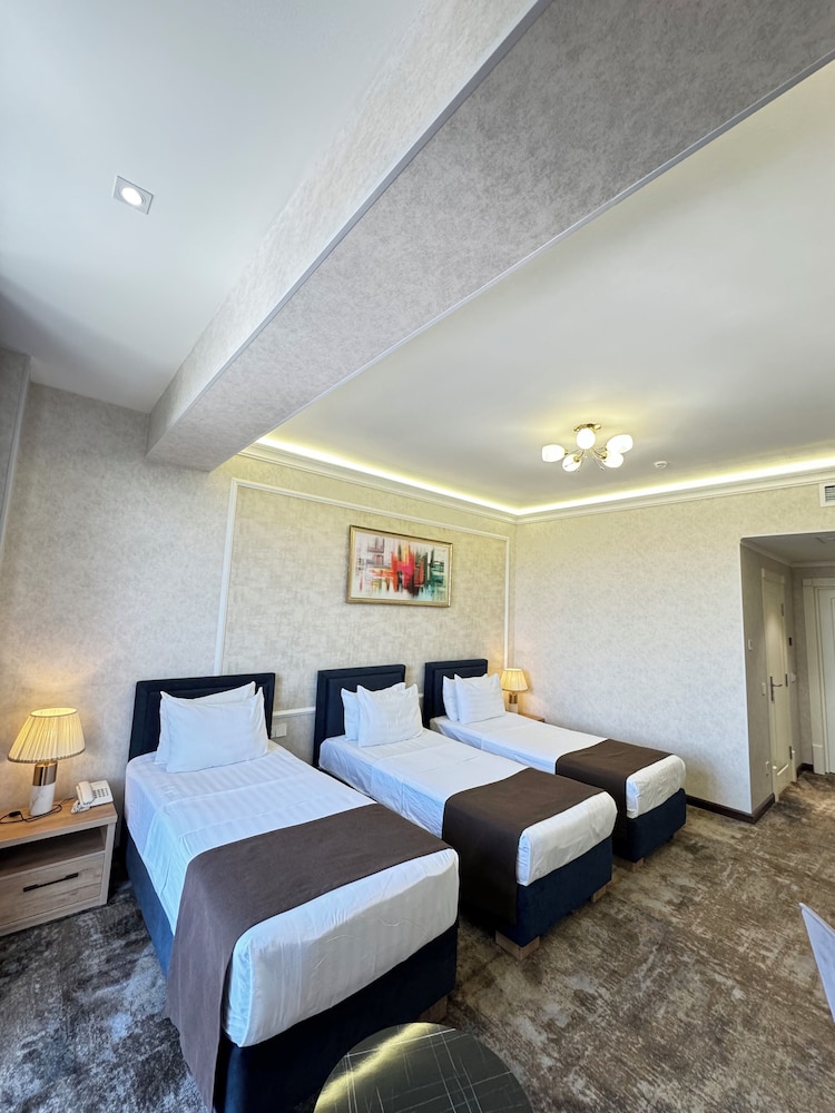 Garnet Hotel Tashkent 17/60