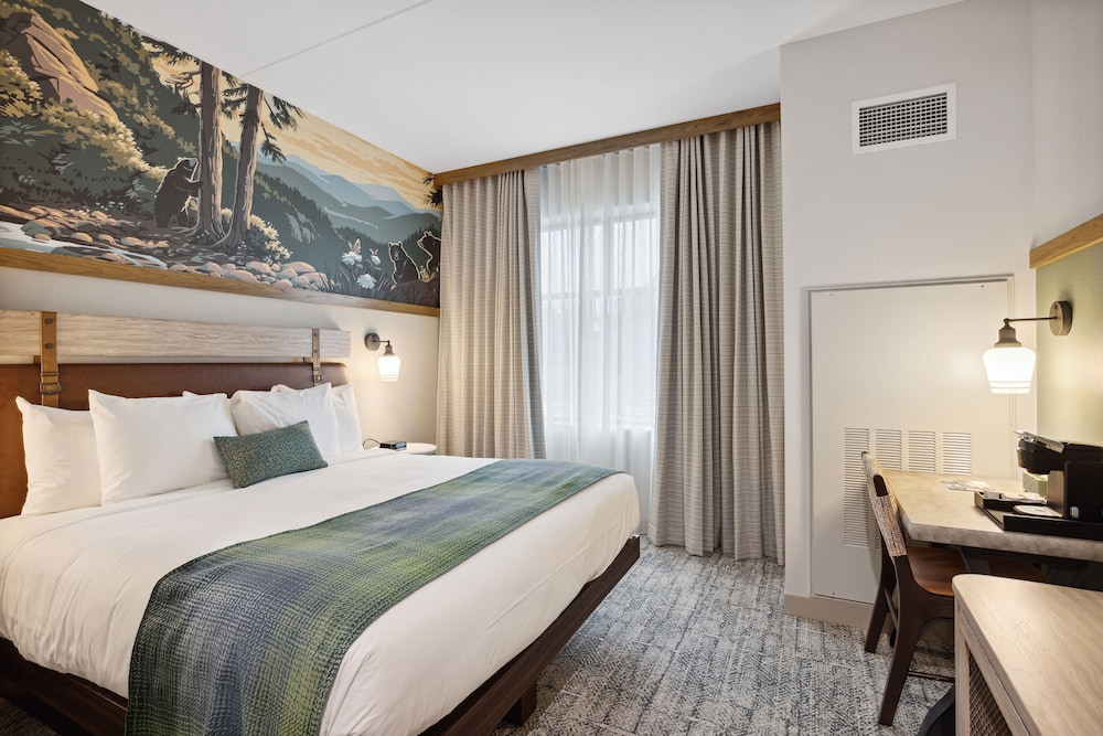 Dollywoods HeartSong Lodge & Resort 12/50